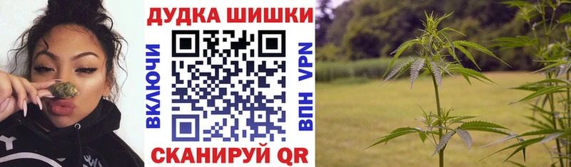 Конопля AK-47  маркетплейс наркотические препараты  Ялуторовск 